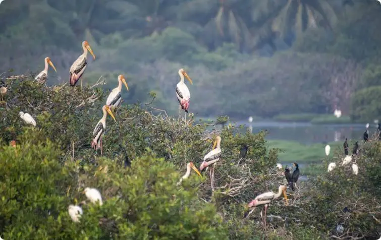 Transforming the Planet