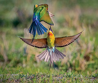 Natural capital